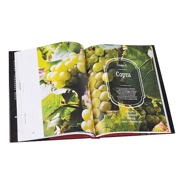 Книга Просто о лучших винах. Новая энциклопедия (Simple Wine News) т/о 210x280 Полноцвет