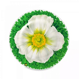 Тарелка десертная 21,5 см Taitu Prati Italiani Macro Photography белый
