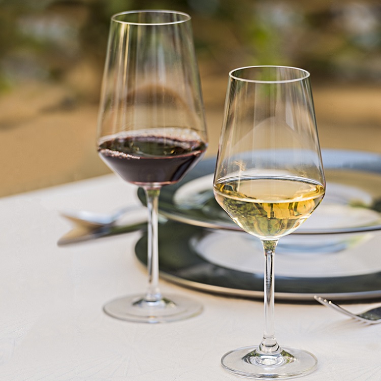 Набор бокалов для белого вина 6 шт. 450 мл Vidivi Canova от CookHouse