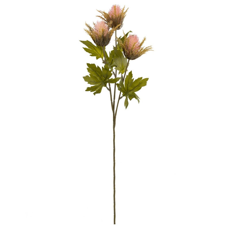 Эрингиум декоративный 67 см Азалия розовый
