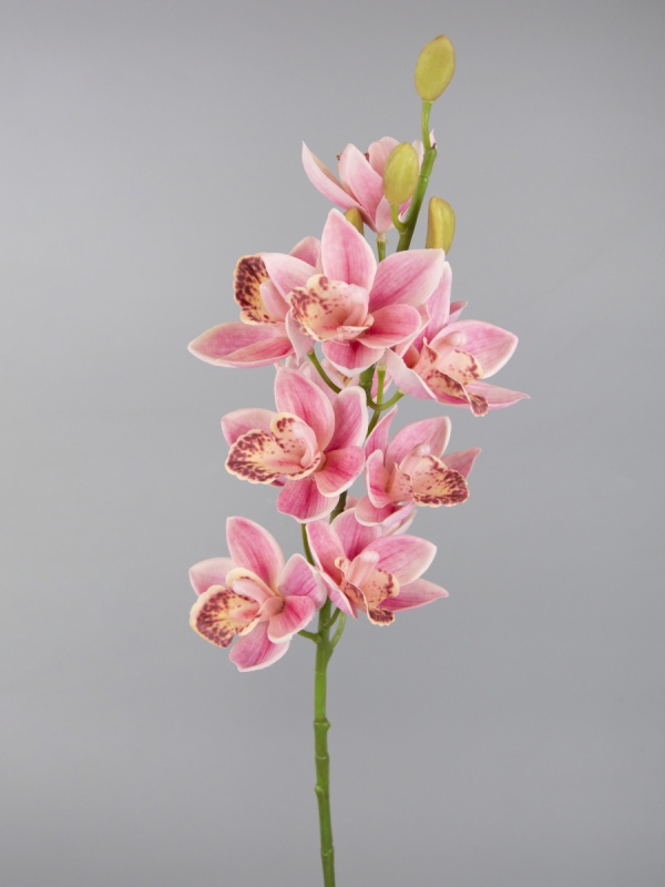 Орхидея Цимбидиум декоративная 75 см Азалия розовый ветка ущая декоративная 100 см азалия розовый