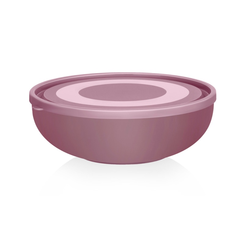 Салатница с крышкой 26 л Эльфпласт в ассортименте 349₽