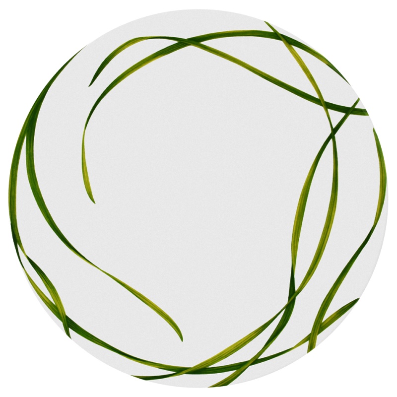 Тарелка обеденная 28 см Taitu Life in Green тарелка обеденная стекло 26 см круглая green city pasabahce 10328slbd38 зеленая
