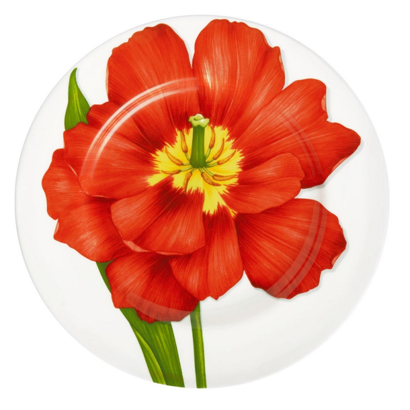 Тарелка обеденная 27 см Taitu Freedom Flower красный
