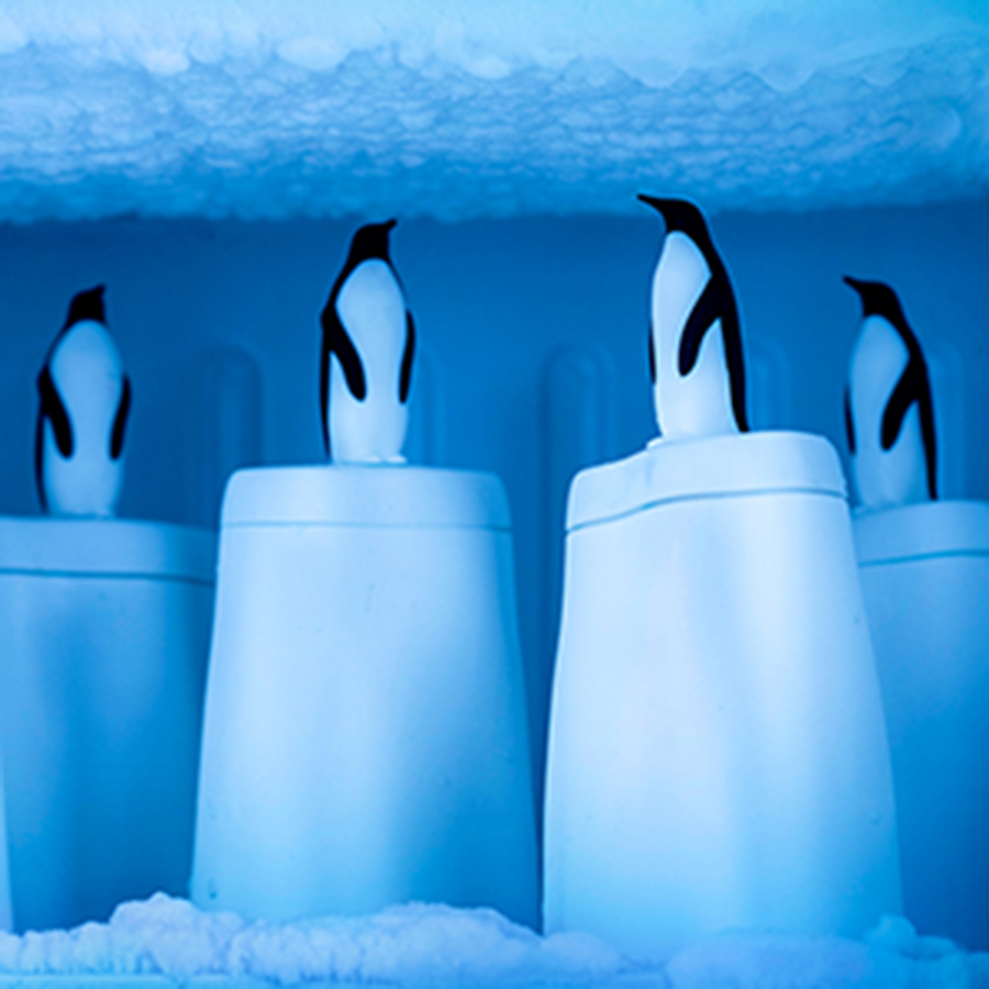 Форма для мороженого penguin on ice Qualy DMH-QL10190-WH - фото 4