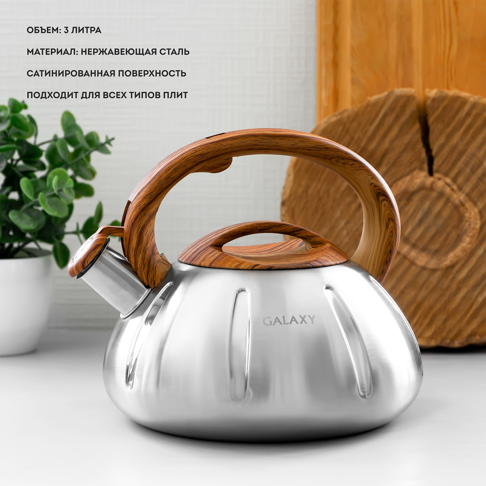 Чайник со свистком 3 л Galaxy Line
