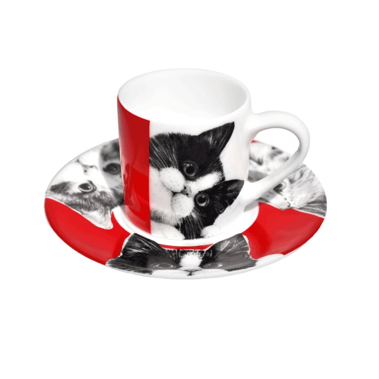 Чашка с блюдцем кофейная 100 мл Taitu Best Friends Cats открытка yetti friends ветер крепчает