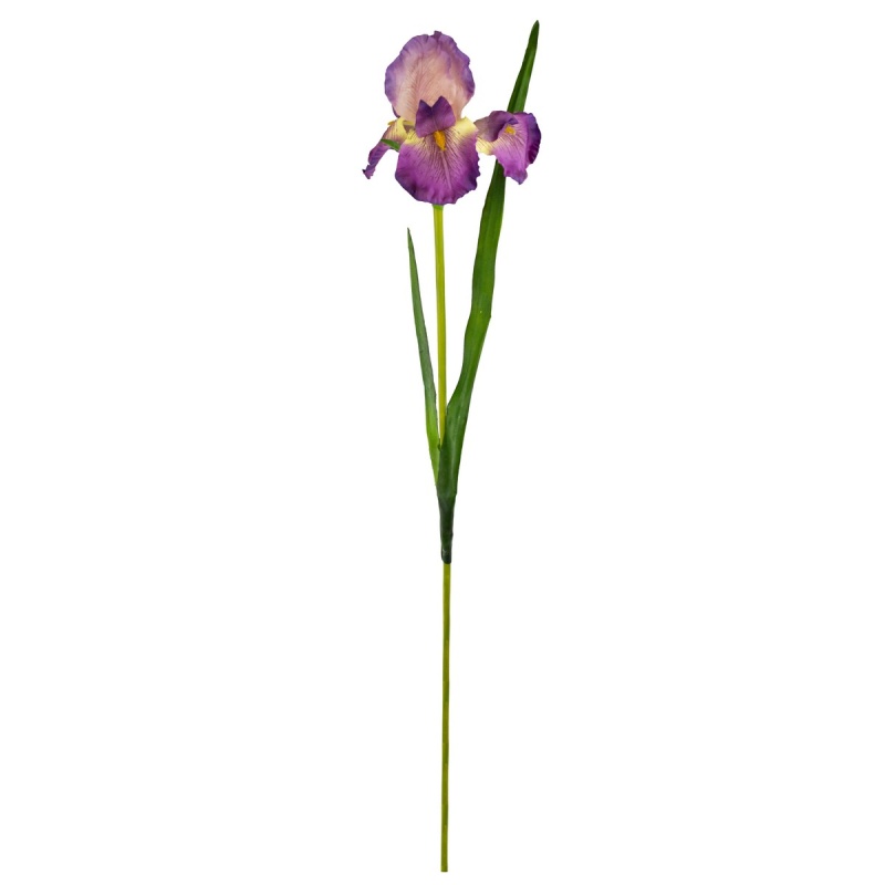 Ирис декоративный 95 см Азалия фиолетовый Азалия DMH-L19629/PU