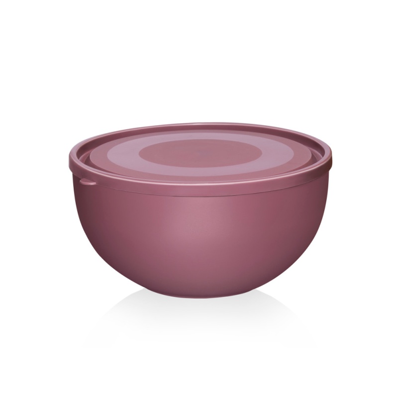 Салатница с крышкой 12 л Эльфпласт в ассортименте 202₽