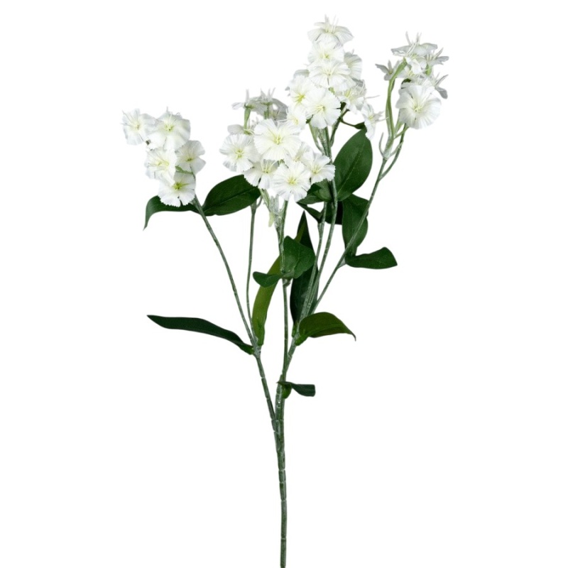 Гвоздика садовая кустовая 65 см Азалия белый 859₽