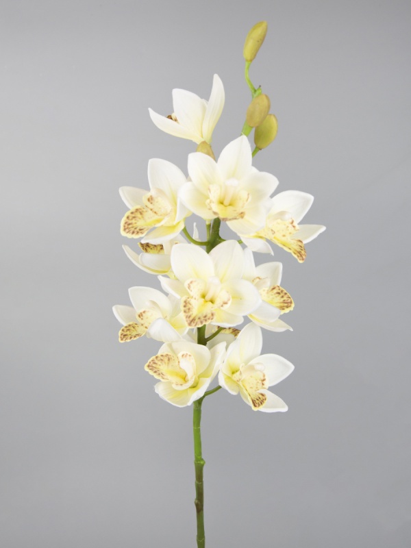 Орхидея Цимбидиум декоративная 75 см Азалия белый резинка декоративная 13 мм 10 ± 1 м белый