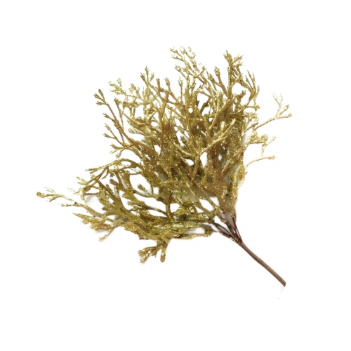 Ветка Туи с глиттером на вставке 20 см DecoLine золотой