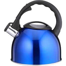 Чайник нерж.со св. 2,5л