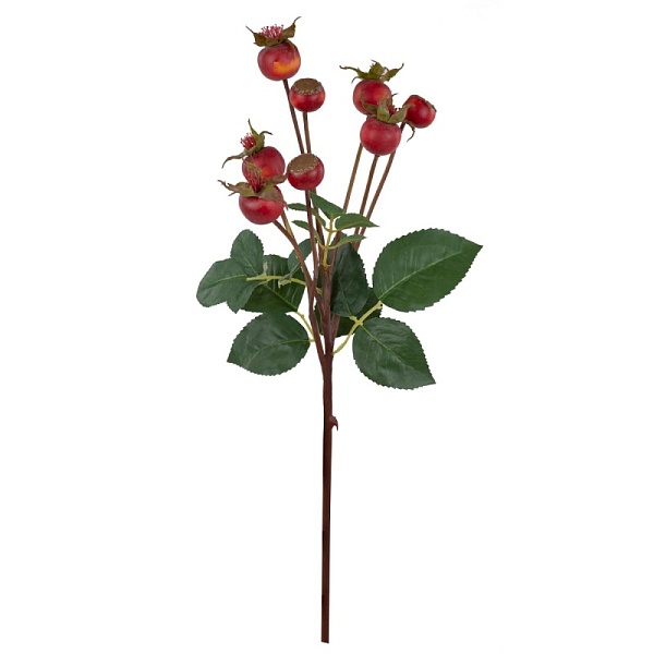 Шиповник 56 см Азалия оранжевый