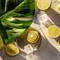 Автодиффузор-клипса Maison Berger Дары Таити