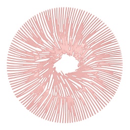 Блюдо для фруктов Anemone розовое