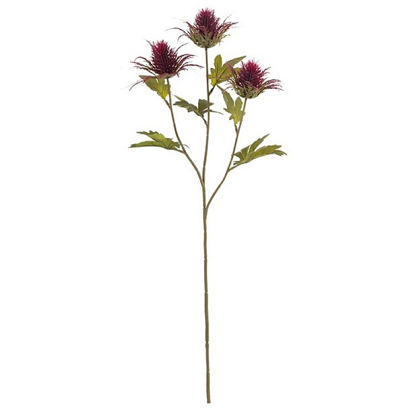 Цветок,Эрингиум 67 см бургунди