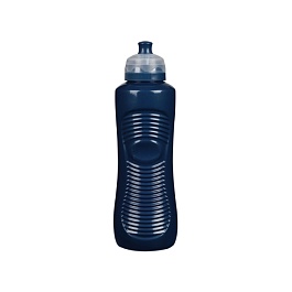 Бутылка для воды 800 мл Sistema Renew синий
