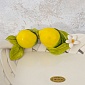 Поднос прямоугольный с ручками 31 х 21 см Orgia Лимоны