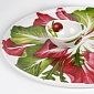 Блюдо сервировочное 31 см Taitu Insalate Dieta Mediterranea Vegetables
