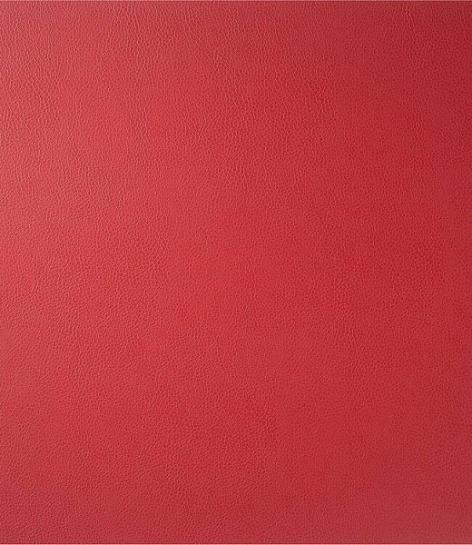 Салфетка подстановочная прямоугольная 45 х 35 см Skinnatur salsa red