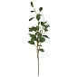 Эвкалипт 95 см Азалия зеленый