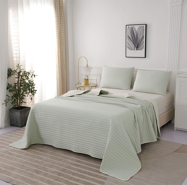 Комплект покрывало и наволочка 160 х 220 см Sofi de Marko Самуэль №5