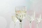 Набор бокалов для белого вина 230 мл RCR Oasis 6 шт
