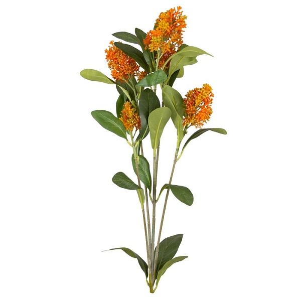 Скимия 81 см Азалия оранжевый