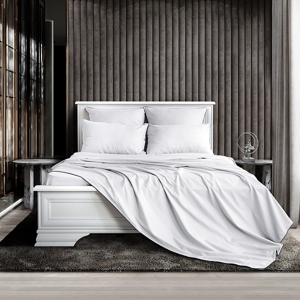 Комплект постельного белья 1,5 - спальный  Soft Silver, альпийский снег