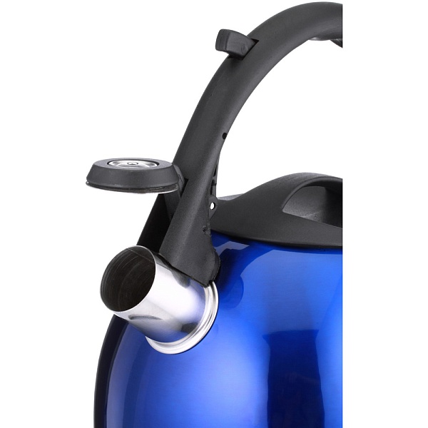 Чайник нерж.со св. 2,5л