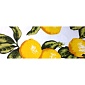 Скатерть 140х180см "Лимоны"