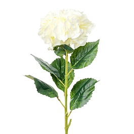 Гортензия декоративная 90 см Азалия белый