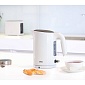 Чайник Braun PurEase WK3100