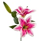 Лилия декоративная 66 см Азалия розовый