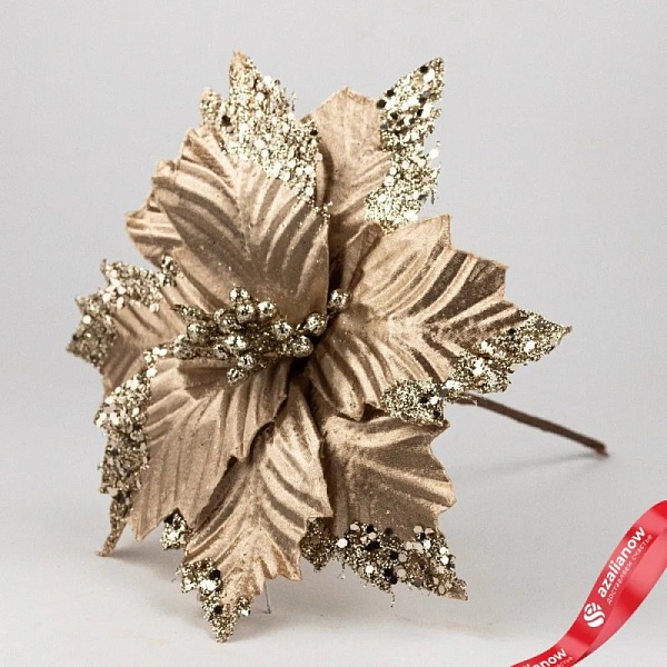 Пуансетия на вставке 25 см Азалия золотая