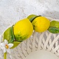 Фруктовница круглая 28 см Orgia Лимоны