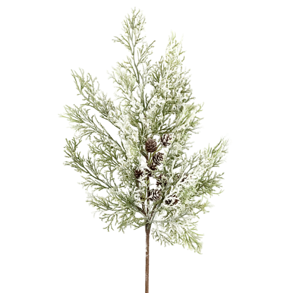 Ветка Кипарис с шишками заснеженная 45 см Азалия зеленая