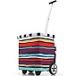 Сумка-тележка Reisenthel Carrycruiser artist stripes