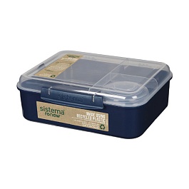 Контейнер со съёмными разделителями 1,65 л Sistema Renew