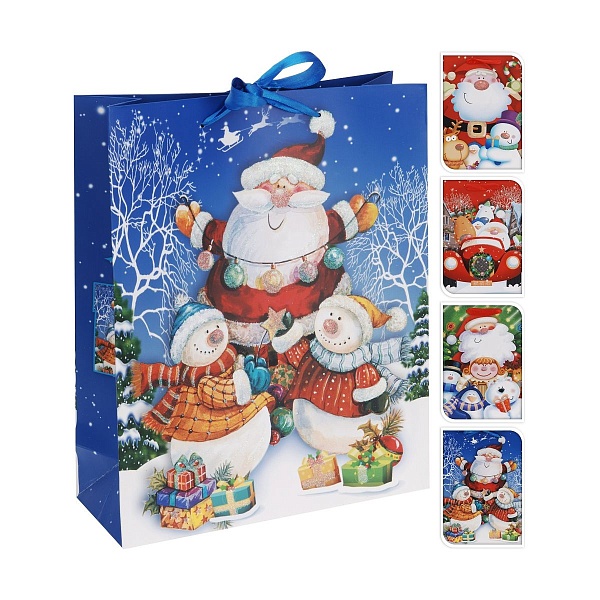 Пакет подарочный 24x18x10см