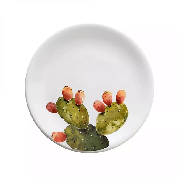 Набор тарелок десертных 20,5 см Nuova Cer Cactus 2 шт.