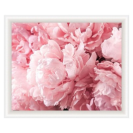 Репродукция в раме 40 х 50 см Декарт Пионы