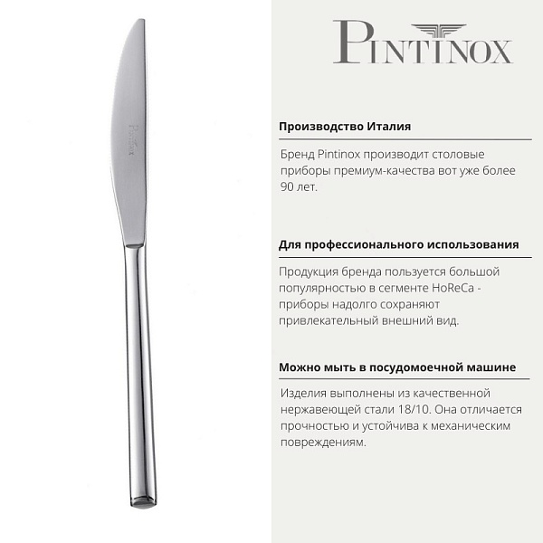 Нож десертный 20 см Pintinox Synthesis