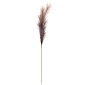 Трава пампасная декоративная 116 см Азалия бордовый