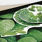 Лопатка для торта 25 х 6 см Taitu Cactus