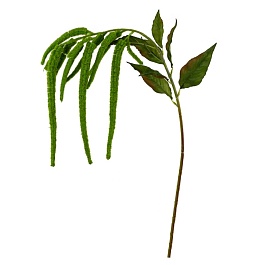 Амарант 110 см Азалия зеленый