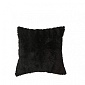 Теодор (черный) Наволочка 45х45