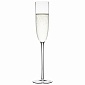 Набор бокалов для шампанского celebrate, 160 мл, 2 шт.