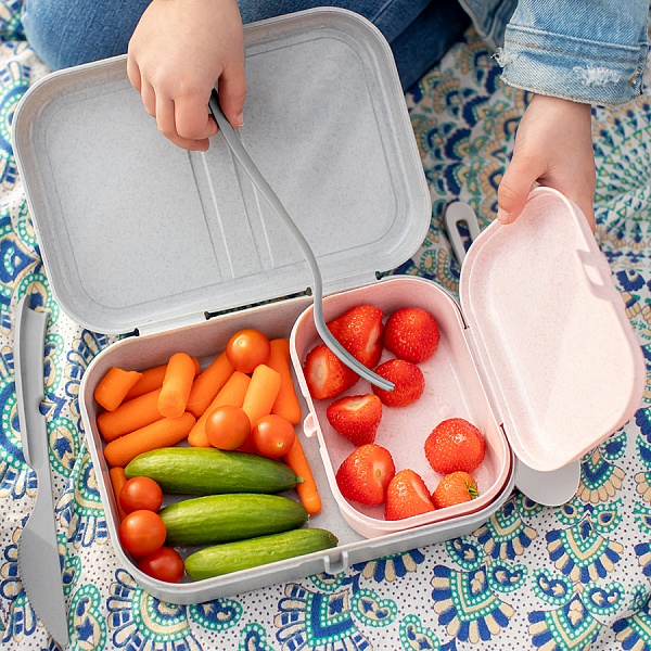 Ланч-бокс Koziol Pascal organic синий